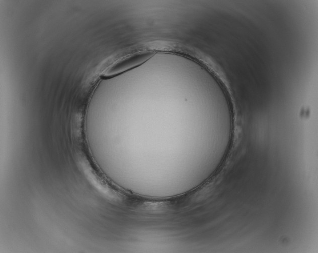 X0000110680057200907021920