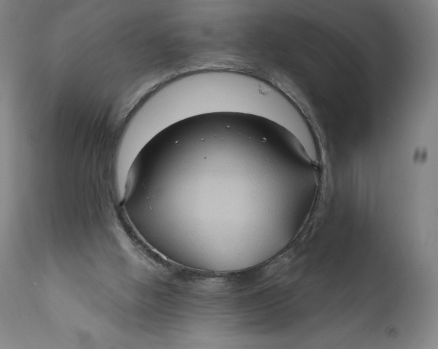 X0000110680058200907021920