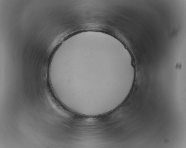 X0000110680059200907021920