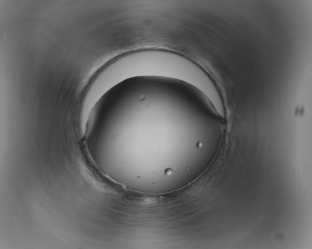 X0000110680060200907021920