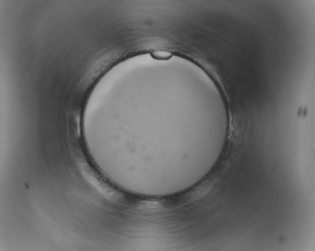 X0000110680061200907021920