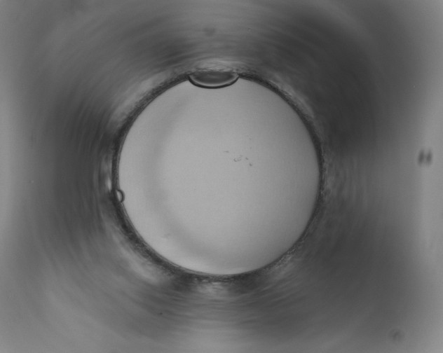 X0000110680062200907021920
