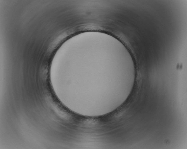 X0000110680063200907021920