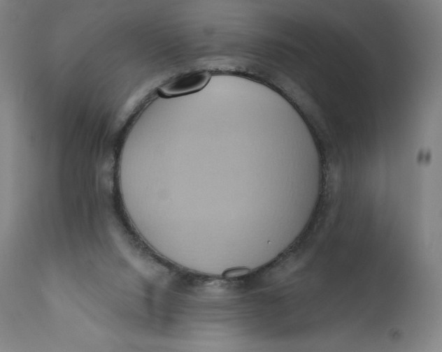 X0000110680064200907021920