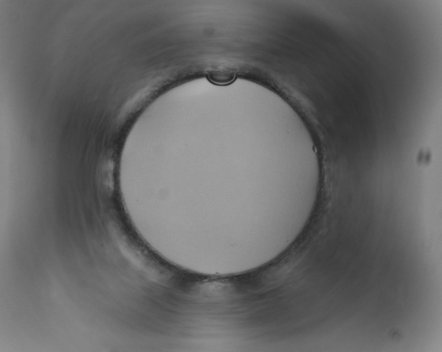 X0000110680067200907021920