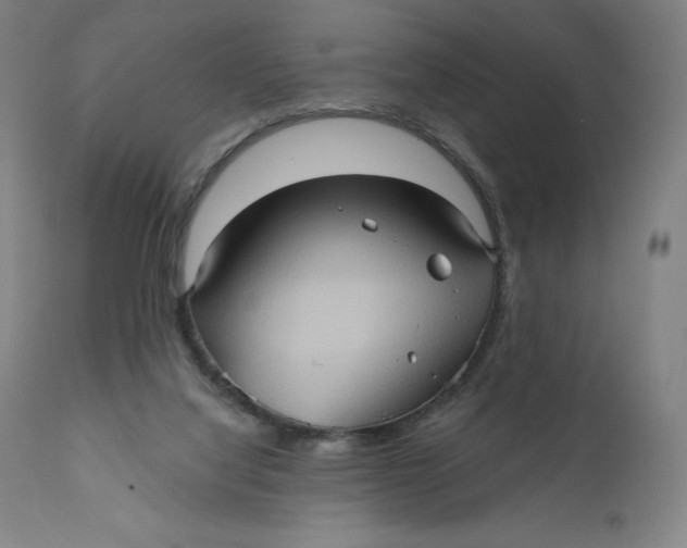 X0000110680068200907021920