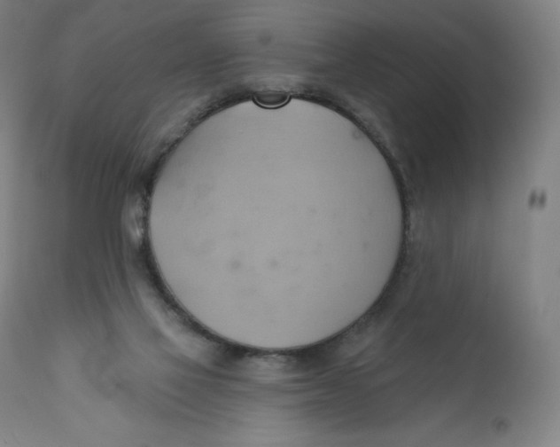 X0000110680069200907021920