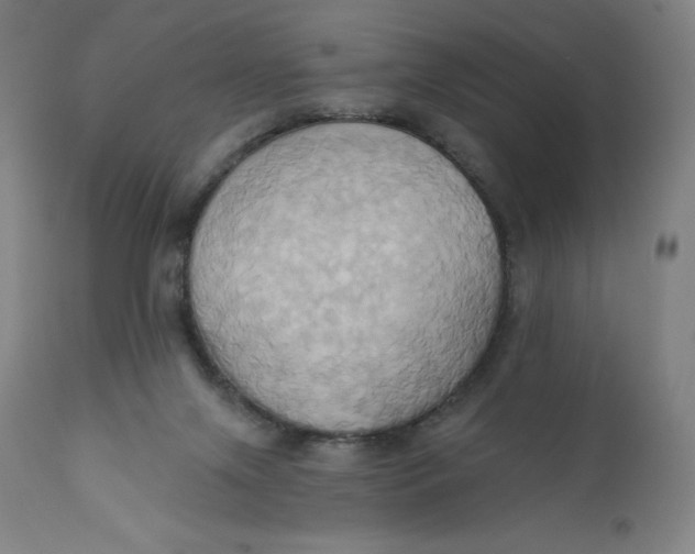 X0000110680071200907021920