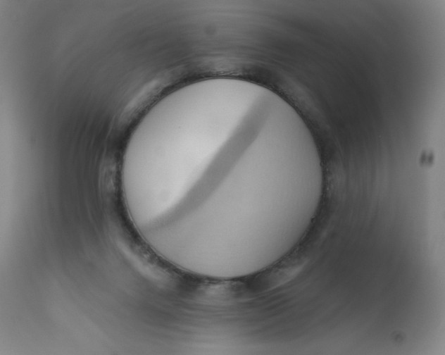 X0000110680072200907021920