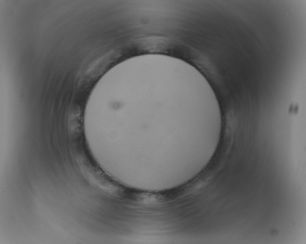 X0000110680073200907021920