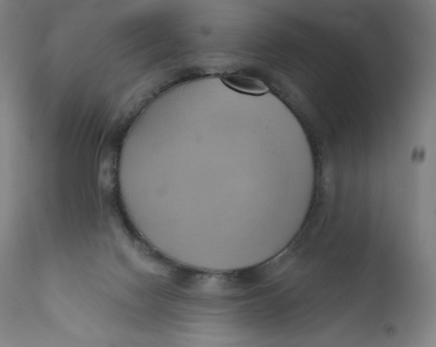 X0000110680074200907021920