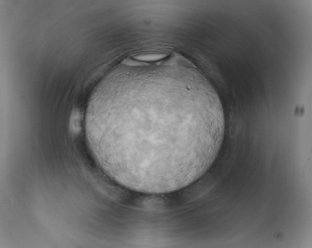 X0000110680075200907021920