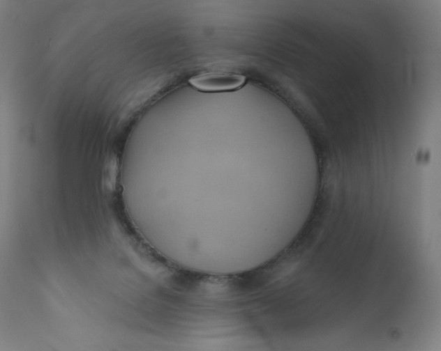 X0000110680076200907021920