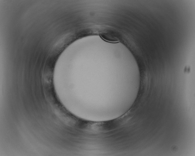 X0000110680078200907021920