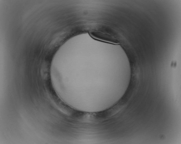 X0000110680080200907021920
