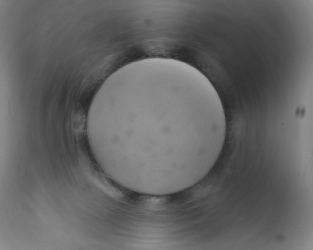 X0000110680081200907021920