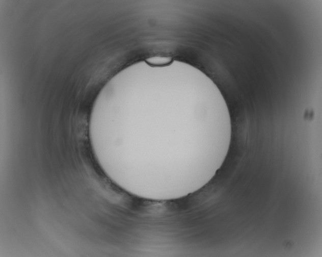 X0000110680083200907021920