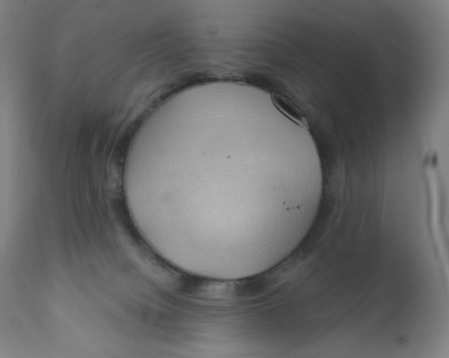 X0000110680084200907021920