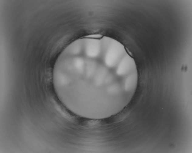 X0000110680085200907021920