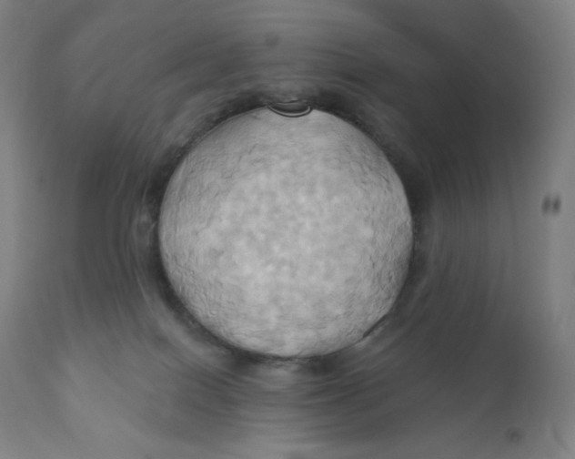 X0000110680086200907021920