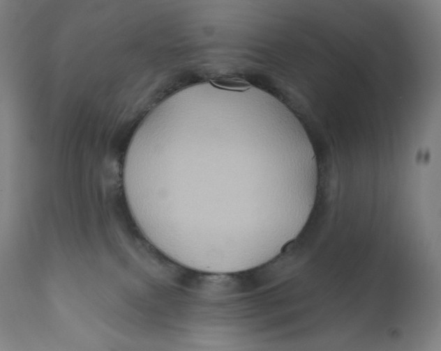 X0000110680087200907021920
