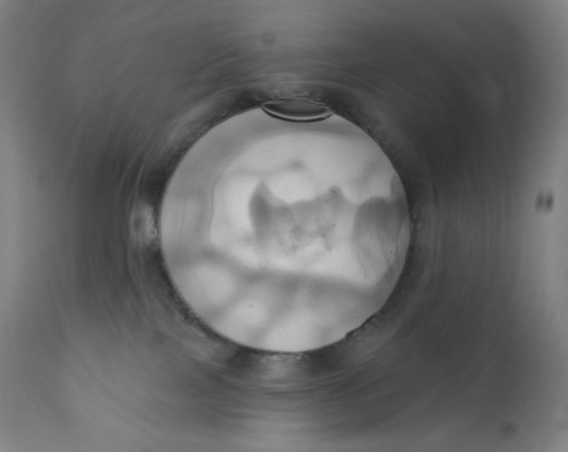 X0000110680089200907021921