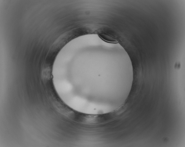X0000110680090200907021921