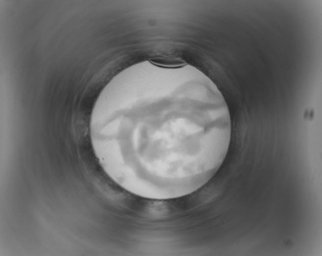 X0000110680091200907021921