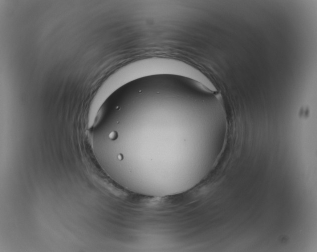 X0000110680092200907021921