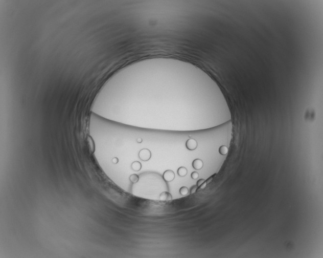 X0000110680093200907021921