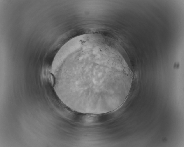 X0000110680094200907021921