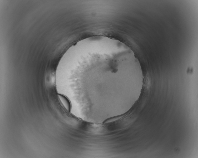 X0000110680095200907021921