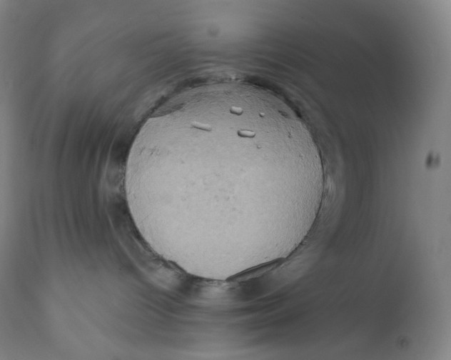 X0000110680096200907021921