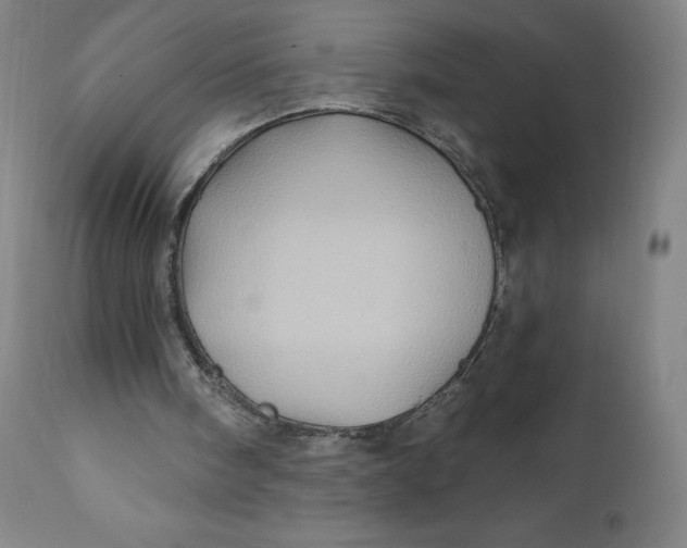 X0000110680098200907021920