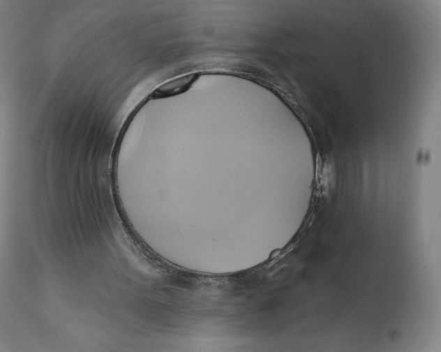 X0000110680099200907021920