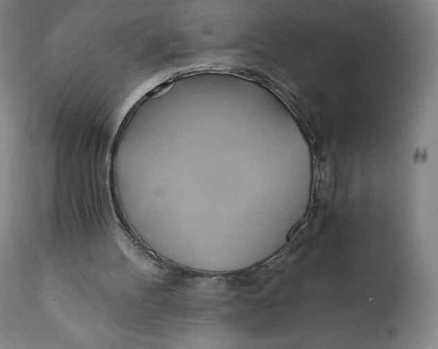 X0000110680100200907021920