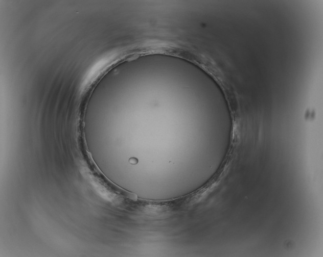 X0000110680101200907021920
