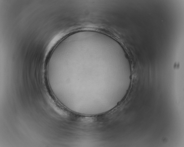 X0000110680102200907021920
