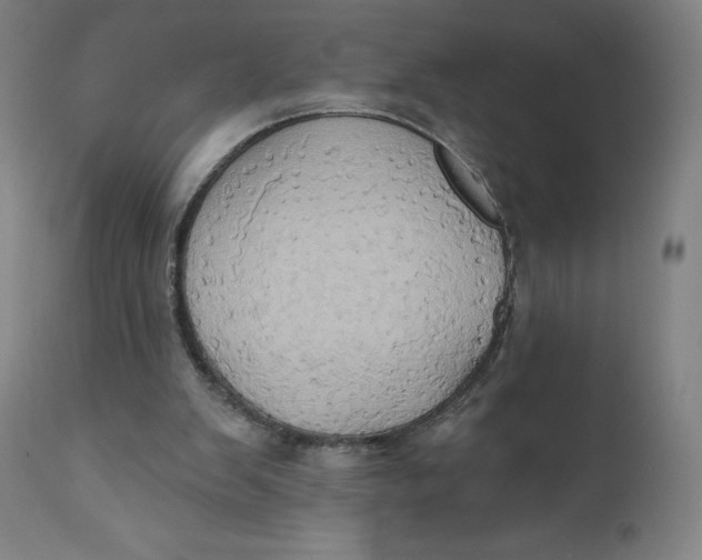 X0000110680103200907021920