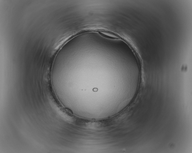 X0000110680105200907021920