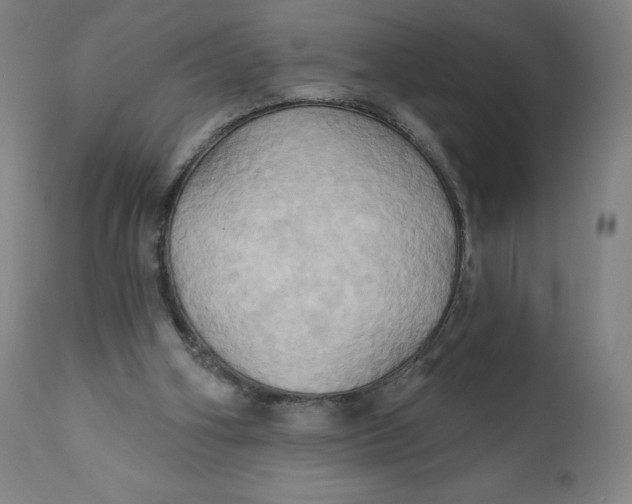 X0000110680106200907021920