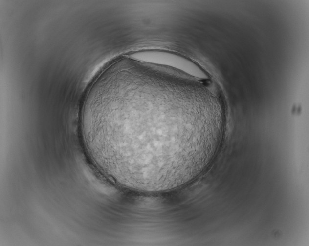 X0000110680107200907021920