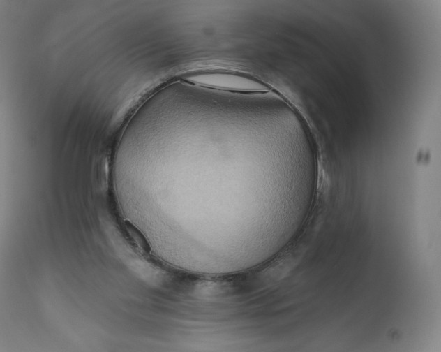 X0000110680109200907021920