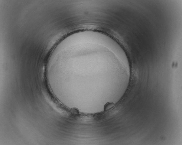 X0000110680110200907021920