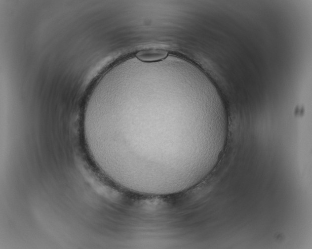 X0000110680112200907021920