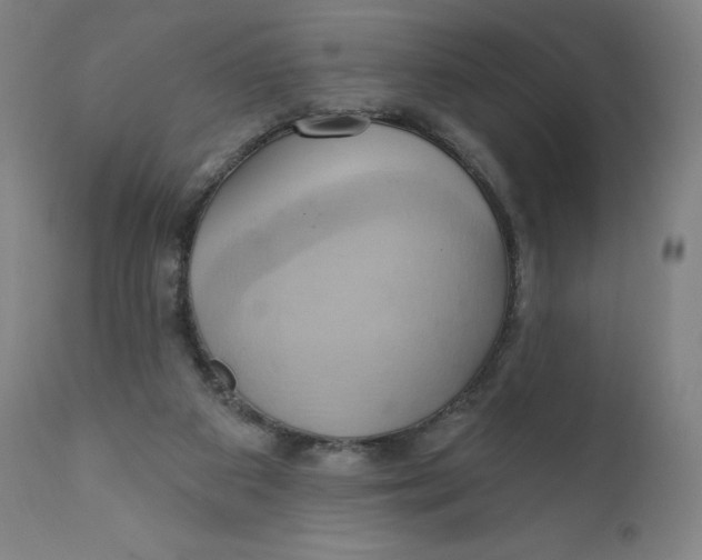 X0000110680113200907021920