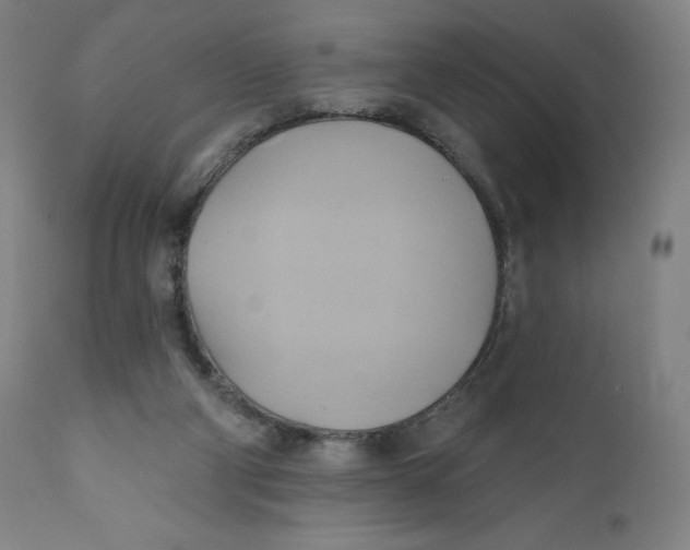 X0000110680114200907021920