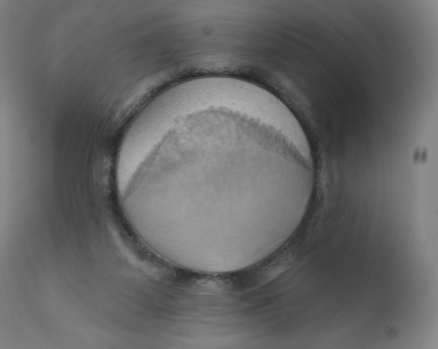 X0000110680115200907021920