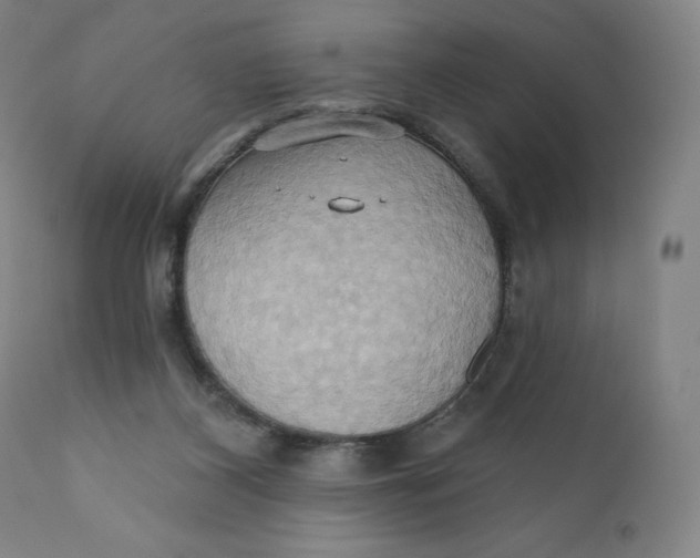 X0000110680116200907021920