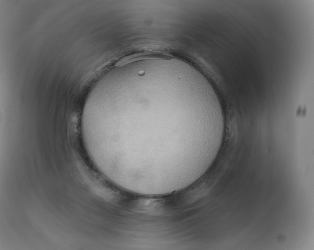 X0000110680117200907021919